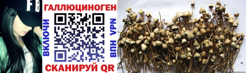 Галлюциногенные грибы мухоморы  кракен ССЫЛКА  Чишмы  наркошоп 